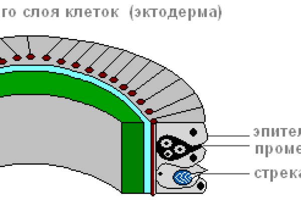 Кракен шоп krakenweb site