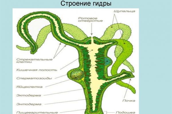 Ссылка кракен магазин